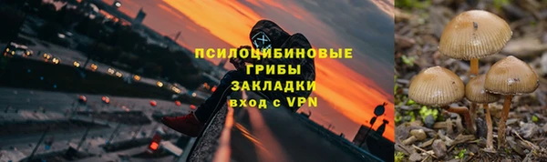 трава Заволжск