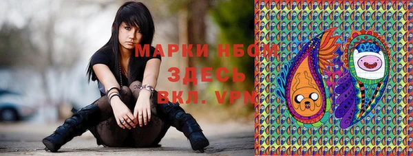 не бодяженный Заводоуковск