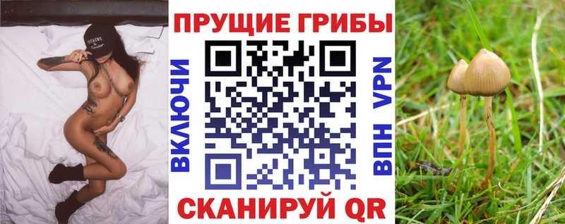 Псилоцибиновые грибы прущие грибы  Сковородино 